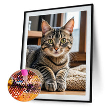 Charger l'image dans la galerie, Chat- Round Diamond Painting-40x50cm