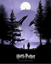 Charger l'image dans la galerie, Harry potter-Diamond Painting- 40*50