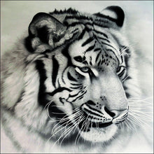 Charger l'image dans la galerie, Tigre - diamant rond complet - 30x30cm