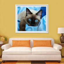 Charger l'image dans la galerie, Chat d’oeil bleu - diamant rond complet - 40x30cm
