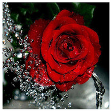 Charger l'image dans la galerie, ROSE-30x30cm