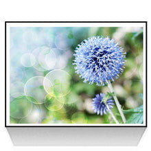 Charger l'image dans la galerie, Pissenlit - diamant rond complet - 30x35cm