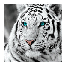 Charger l'image dans la galerie, Tête de tigre - diamant rond complet - 30x30cm