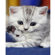 Charger l'image dans la galerie, Chat - diamant rond complet - 40x30cm