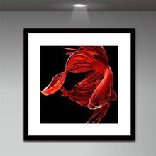 Charger l'image dans la galerie, Goldfish - diamant rond complet - 30x30cm