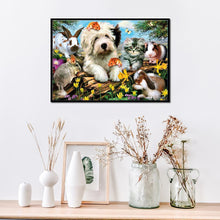 Charger l'image dans la galerie, Pet world - peinture diamant pleine - 30x25cm