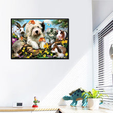 Charger l'image dans la galerie, Pet world - peinture diamant pleine - 30x25cm
