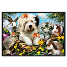 Charger l'image dans la galerie, Pet world - peinture diamant pleine - 30x25cm