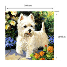 Charger l'image dans la galerie, Chiot blanc - peinture complète de diamant - 30x30cm
