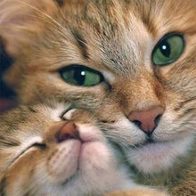 Charger l'image dans la galerie, Chat - peinture en diamant complet - 30x30cm