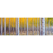 Charger l'image dans la galerie, Multi arbre - diamant rond complet - 80x30cm