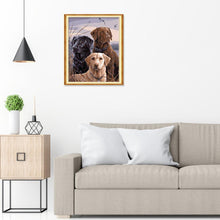 Charger l'image dans la galerie, Chien - peinture en diamant complet - 30x25cm