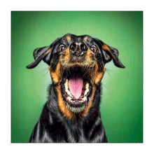 Charger l'image dans la galerie, Chien jaune noir - diamant rond complet - 25x25cm