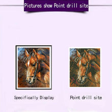 Charger l'image dans la galerie, Cheval de forage complet - peinture complète de diamant - 30x25cm