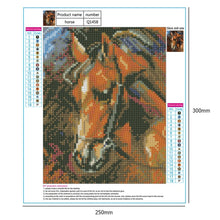 Charger l'image dans la galerie, Cheval de forage complet - peinture complète de diamant - 30x25cm