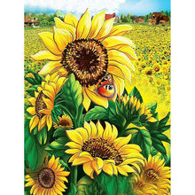 Charger l'image dans la galerie, Fleurs de soleil - peinture complète de diamant - 30x40cm