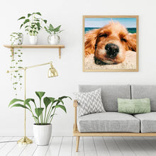 Charger l'image dans la galerie, Chien - peinture en diamant complet - 30x30cm