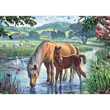 Charger l'image dans la galerie, Cheval potable - peinture en diamant complet - 40x30cm