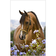 Charger l'image dans la galerie, Fleurs de cheval - diamant rond complet - 30x40cm