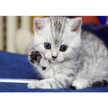 Charger l'image dans la galerie, Bonjour chat - diamant rond complet - 40x30cm