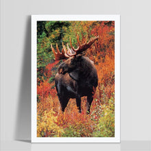 Charger l'image dans la galerie, Animal - diamant rond complet - 30x40cm