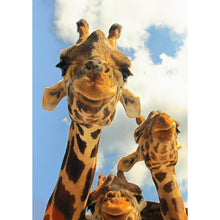Charger l'image dans la galerie, Animal - diamant rond complet - 30x40cm