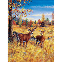 Charger l'image dans la galerie, Cadeau - diamant rond complet - 30x40cm