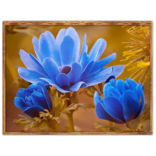 Charger l'image dans la galerie, Fleur - diamant rond complet - 40x30cm