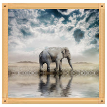 Charger l'image dans la galerie, Animal - diamant rond complet - 30x30cm