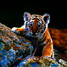 Charger l'image dans la galerie, Animal - diamant rond complet - 30x30cm