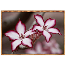 Charger l'image dans la galerie, Fleur - diamant rond complet - 40x30cm