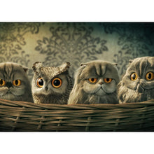 Charger l'image dans la galerie, Oiseaux - diamant rond complet - 40x30cm