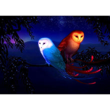 Charger l'image dans la galerie, Oiseaux - diamant rond complet - 40x30cm