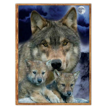 Charger l'image dans la galerie, Mosaïque - diamant rond complet - 40x30cm