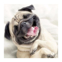 Charger l'image dans la galerie, Animal - diamant rond complet - 30x30cm