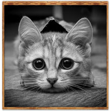 Charger l'image dans la galerie, Art - diamant rond complet - 30x30cm