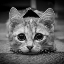 Charger l'image dans la galerie, Art - diamant rond complet - 30x30cm