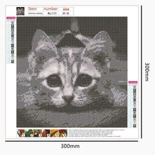 Charger l'image dans la galerie, Art - diamant rond complet - 30x30cm