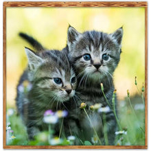 Charger l'image dans la galerie, Art - diamant rond complet - 30x30cm