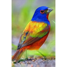 Charger l'image dans la galerie, Oiseau - peinture en diamant complet - 30x40cm