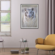 Charger l'image dans la galerie, Tigre - diamant rond complet - 30x40cm