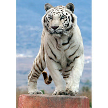 Charger l'image dans la galerie, Tigre - diamant rond complet - 30x40cm