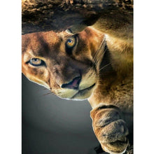 Charger l'image dans la galerie, Tigre - diamant rond complet - 30x40cm