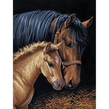 Charger l'image dans la galerie, Cheval - diamant rond complet - 30x40cm