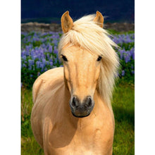 Charger l'image dans la galerie, Cheval - diamant rond complet - 30x40cm