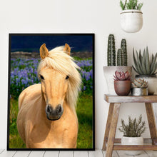 Charger l'image dans la galerie, Cheval - diamant rond complet - 30x40cm
