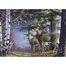 Charger l'image dans la galerie, Nature de cerf - diamant rond complet - 40x30cm