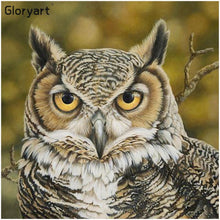 Charger l'image dans la galerie, Glorpart hibou - diamant rond complet - 30x30cm