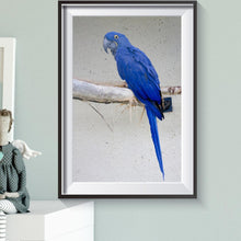 Charger l'image dans la galerie, Oiseau - diamant rond complet - 40x30cm