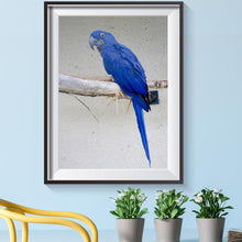 Charger l'image dans la galerie, Oiseau - diamant rond complet - 40x30cm